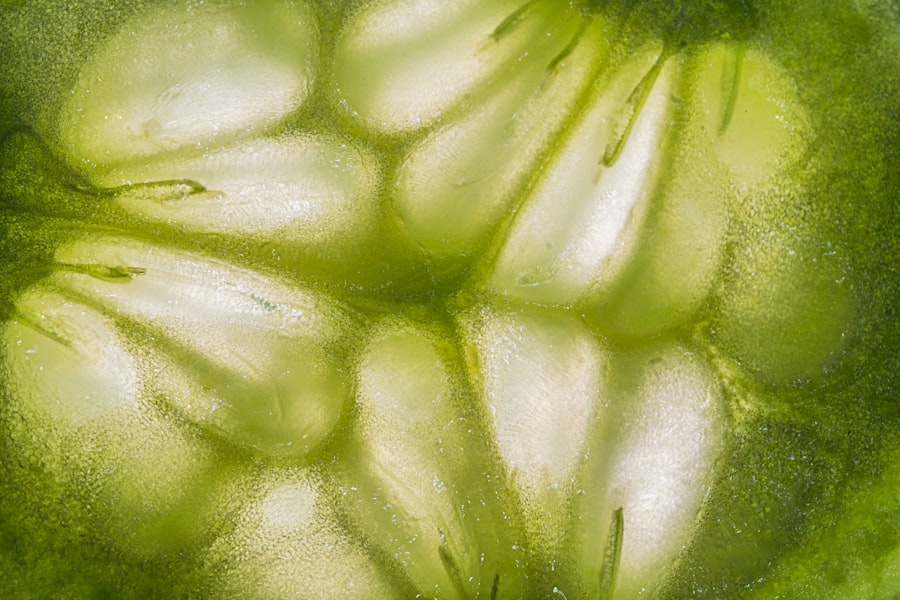 Zucchini slices