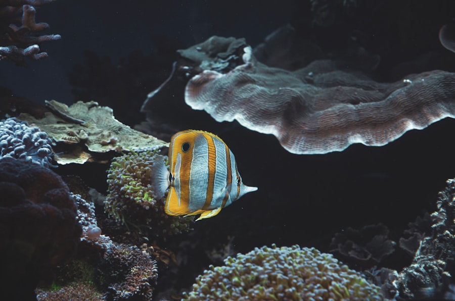 Underwater habitat