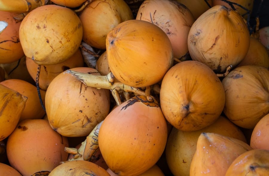 Coconut water