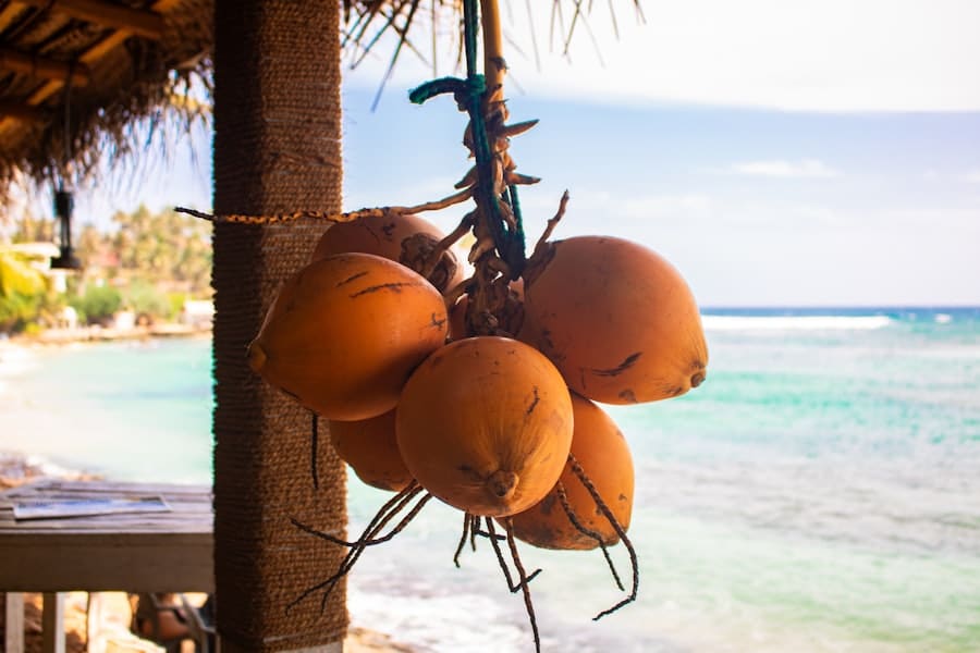 Photo Coconut water
