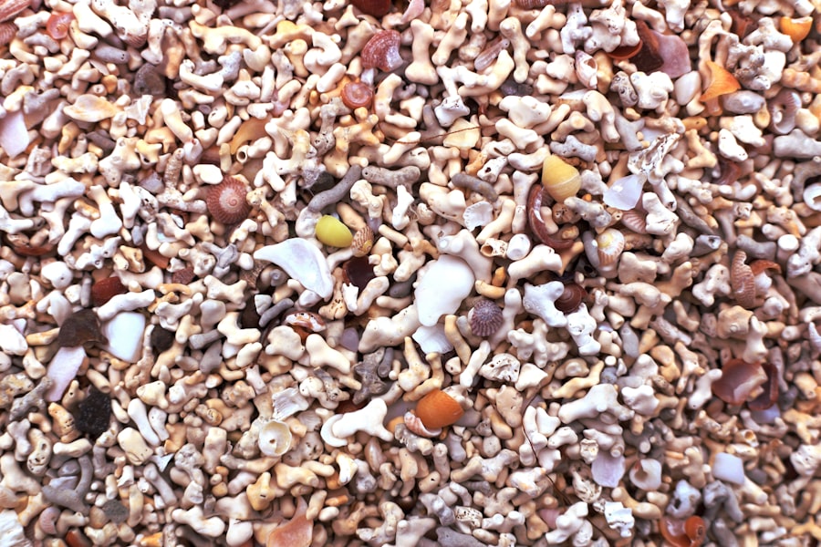 Photo Caraway seeds