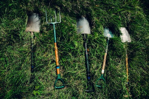 Photo Gardening tools