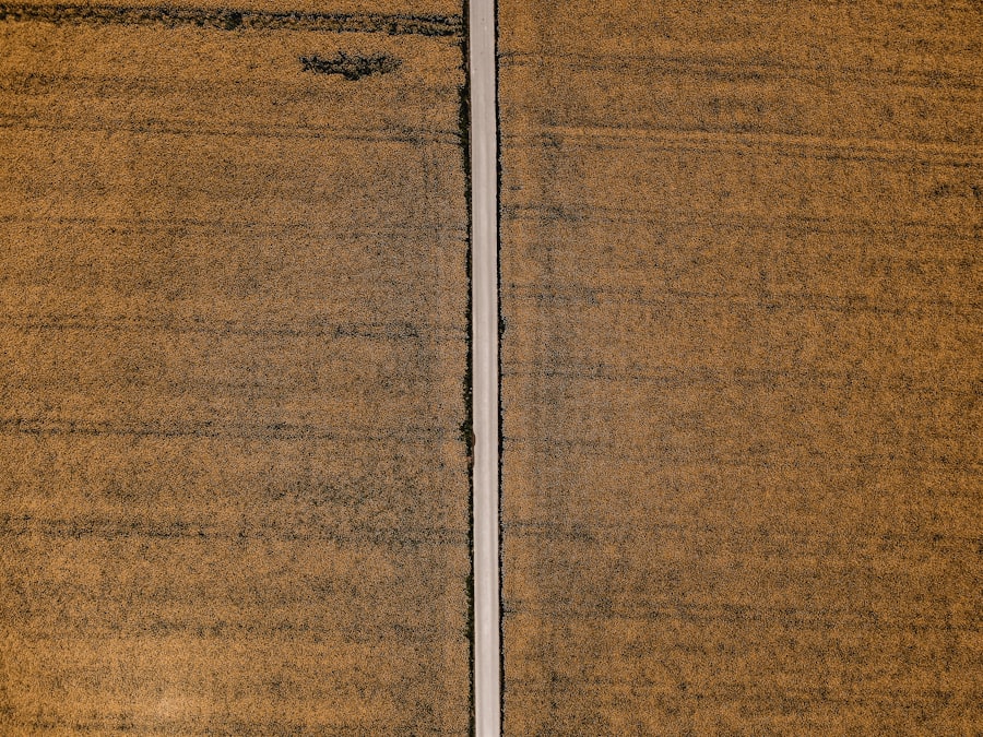 Photo pH scale