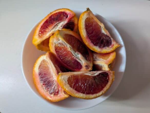 Photo Citrus fruits