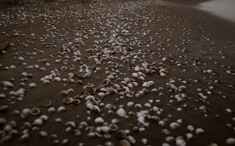 Photo Epsom salt bath