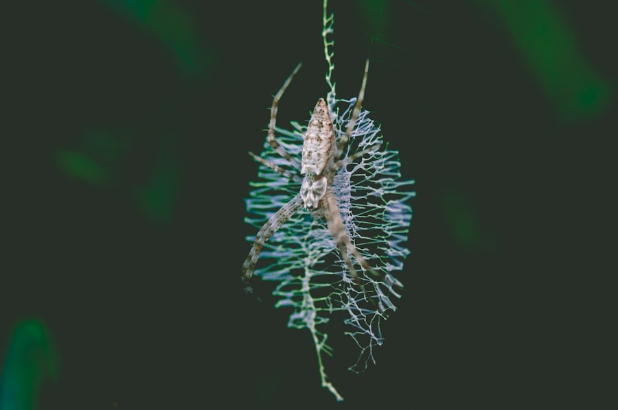 clostridium botulinum