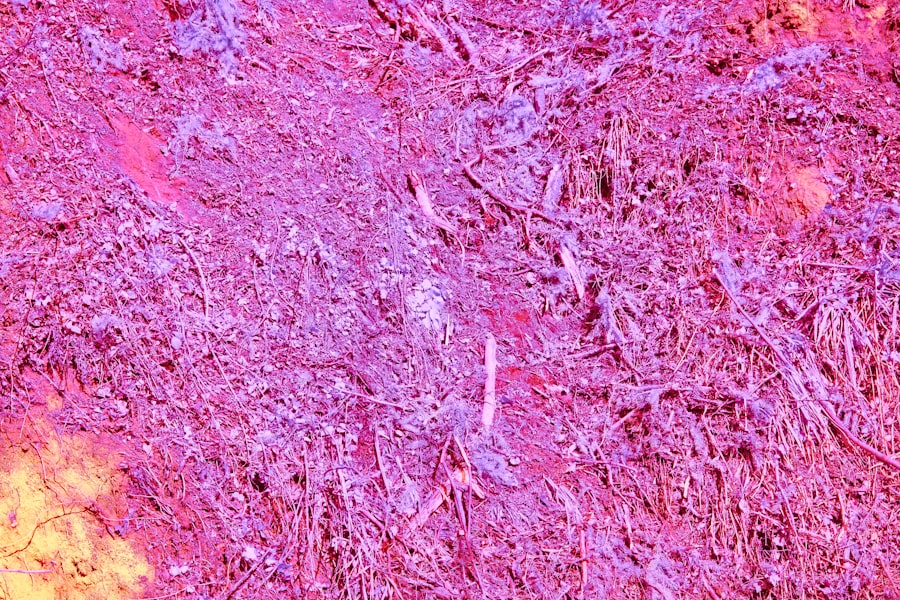 trapezius muscle botox