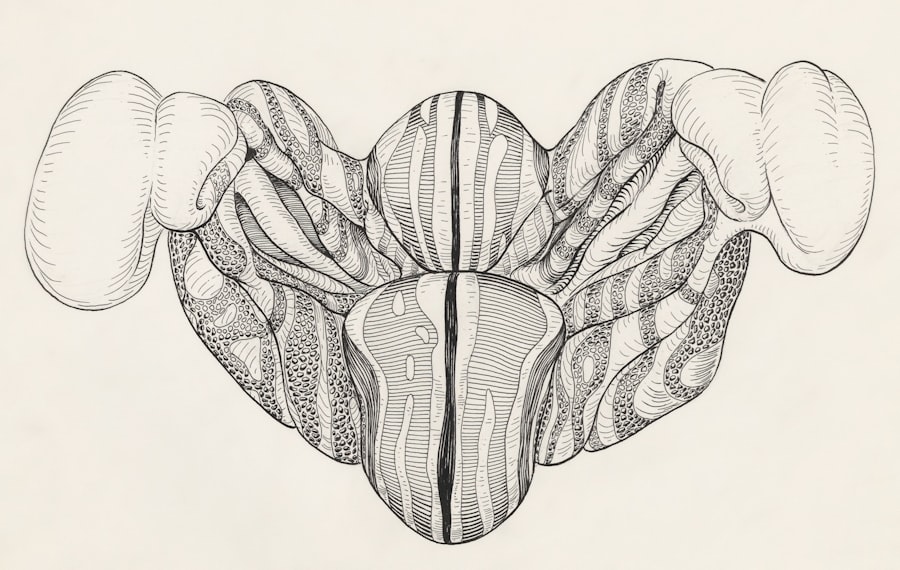Photo botox trapezius muscle