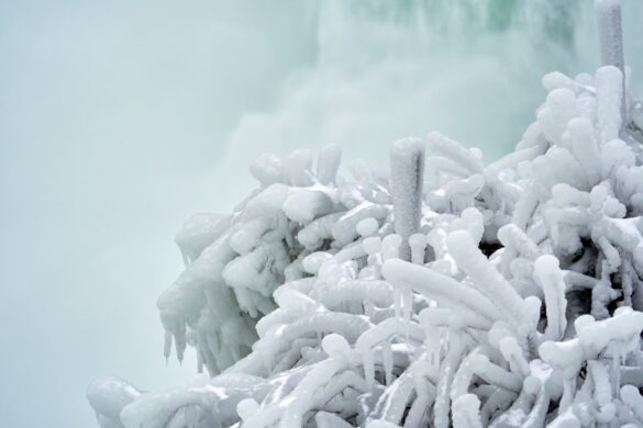 Photo winter vomiting disease