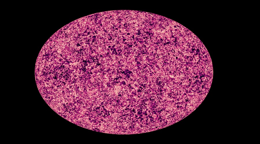 Photo measles
